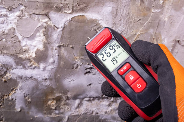 Best Local Mold Removal Service  in Eagle Lake, TX