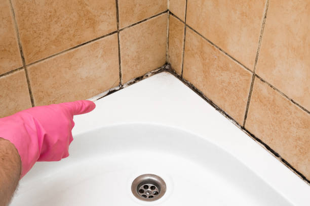 Best Mold Testing  in Eagle Lake, TX